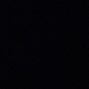 Meet your Posher, Devyn